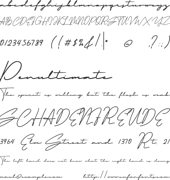 Cristhyna Signature Free font preview