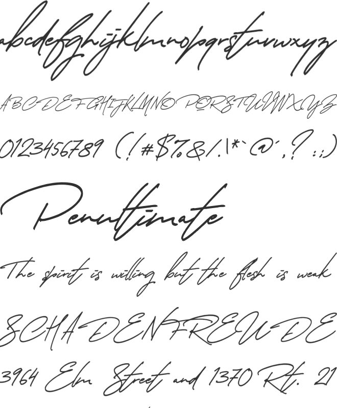Thunder Stone Script Alt font preview