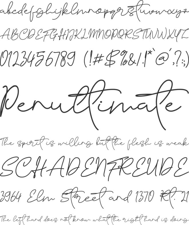 Sarttink Signature font preview