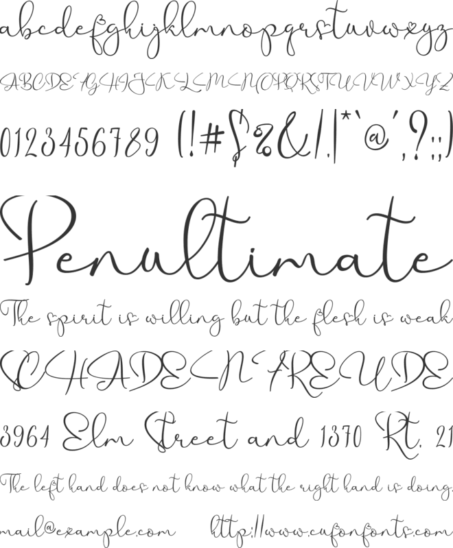 My Future font preview