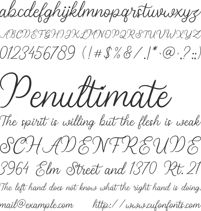 Stellina font preview