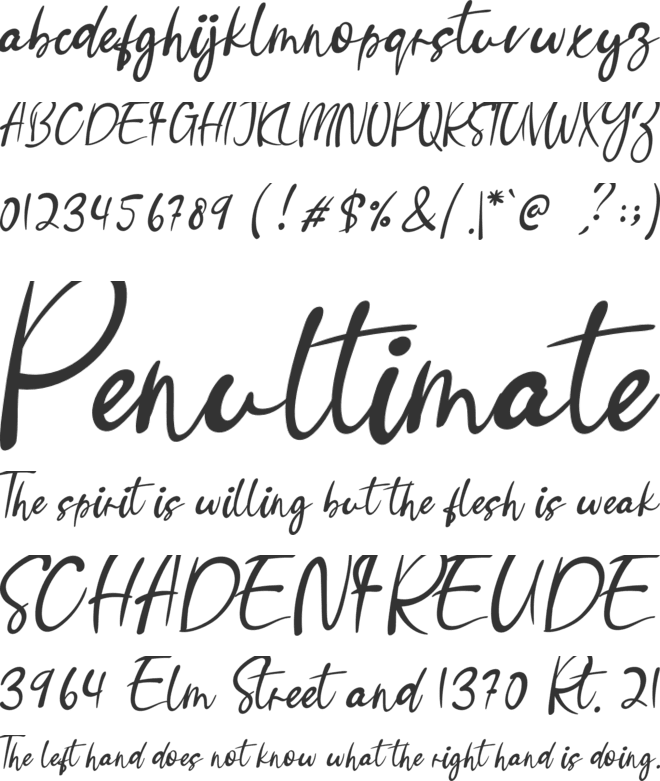 Bellmetta font preview