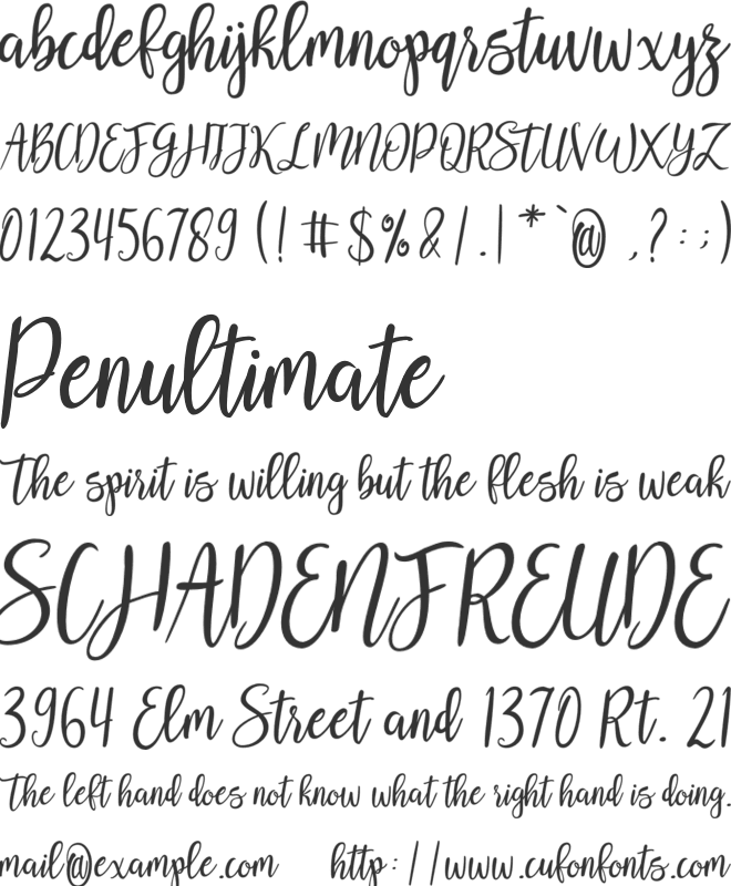 Reshonta font preview