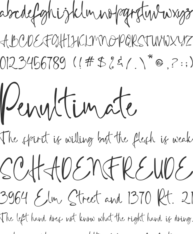 Collegass Signature font preview
