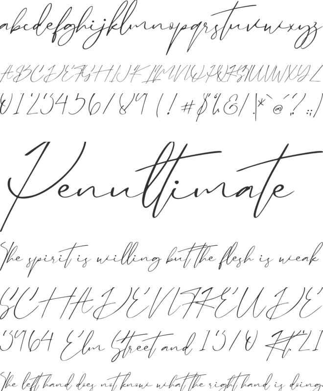 Santa Fe Spring - Personal Use font preview