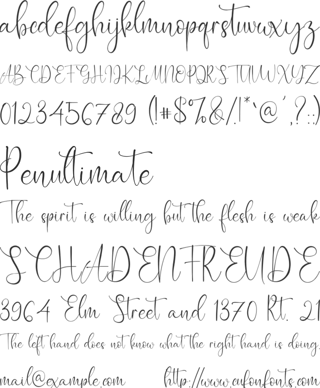 Caitlin Angelica font preview