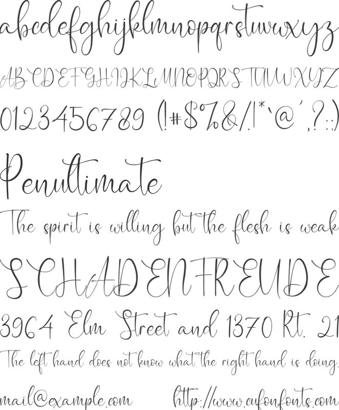 Caitlin Angelica font preview