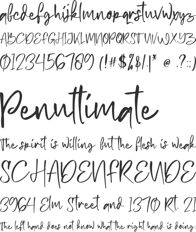Petter story font preview