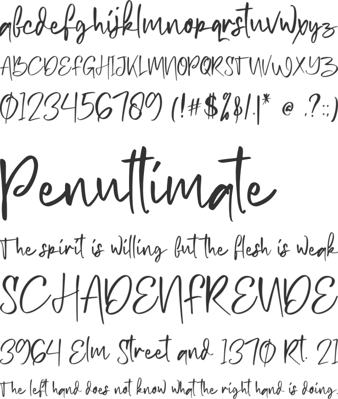 Petter story font preview