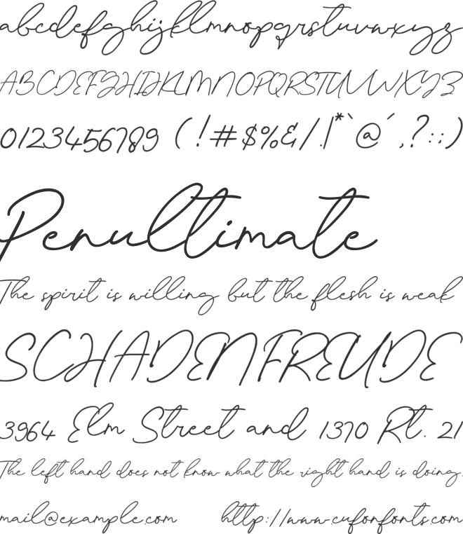 Palm Sugar Personal Use font preview