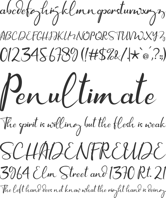 Newyorka Night font preview