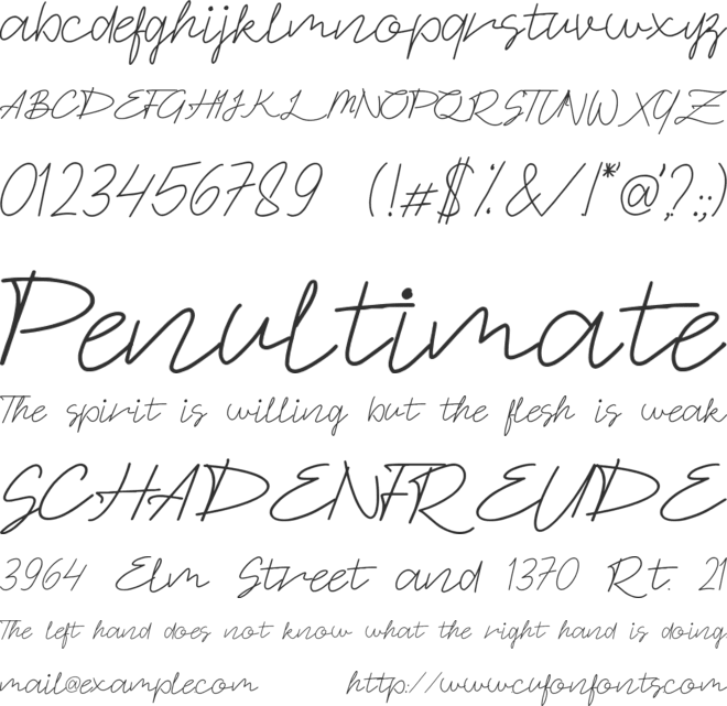Signaday font preview