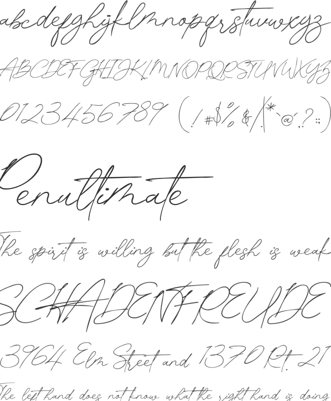 pamsetto font preview