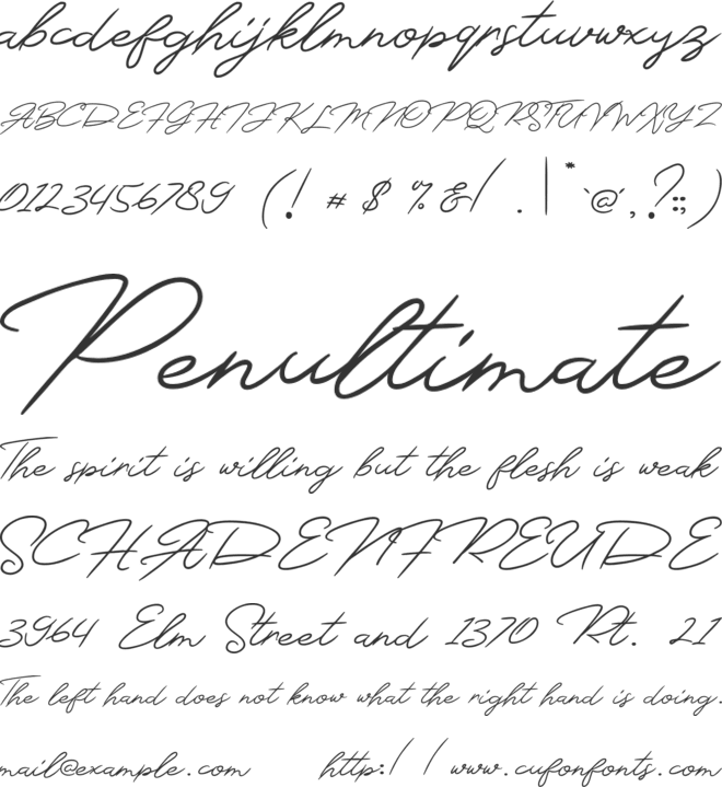 Monsttera font preview