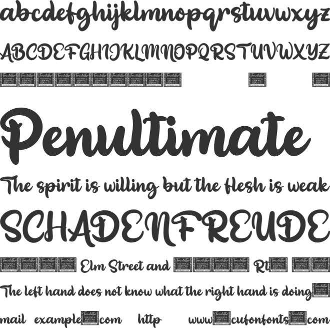 The Princess font preview