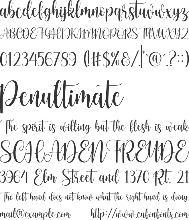dear flora font preview