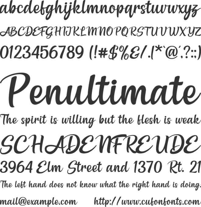 white allies font preview