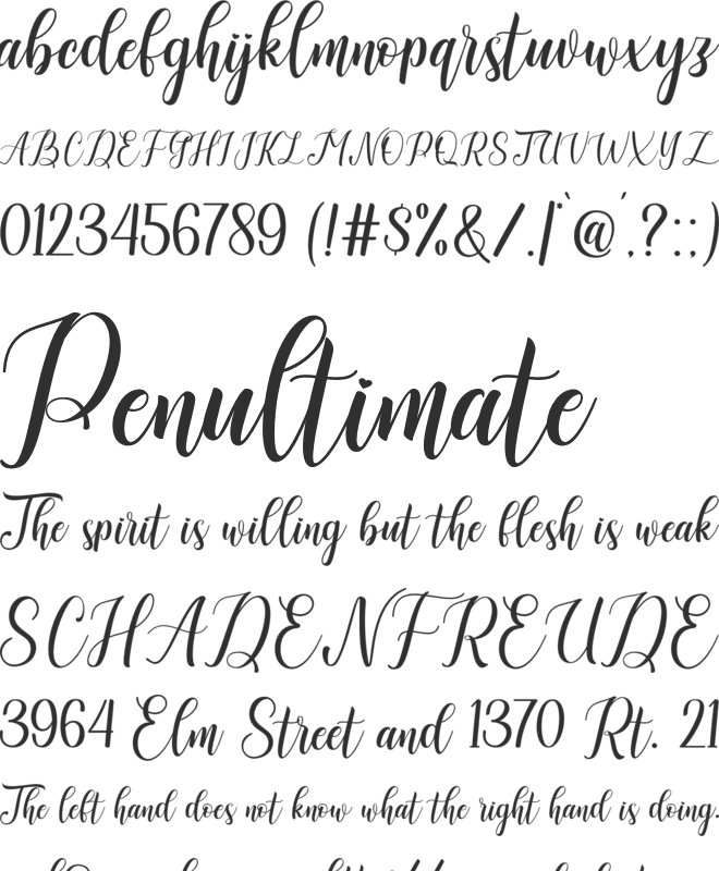 Angestina font preview