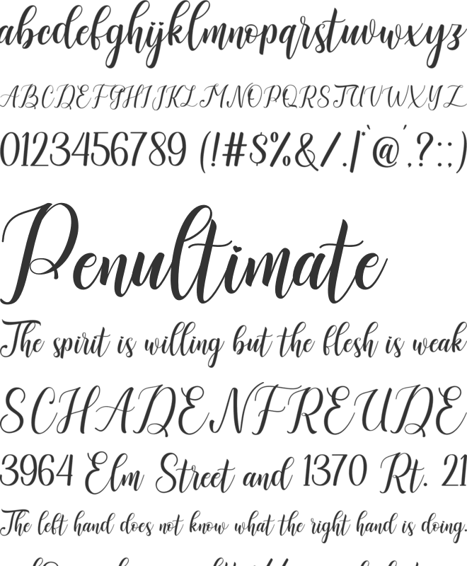 Angestina font preview