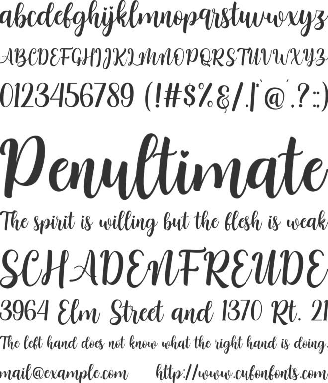 Nattasha font preview