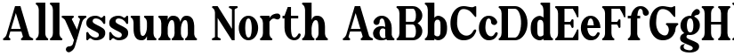 Allyssum North font