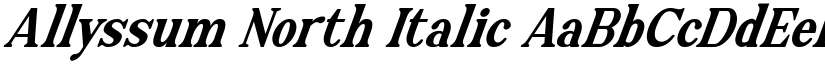 Allyssum North Italic font