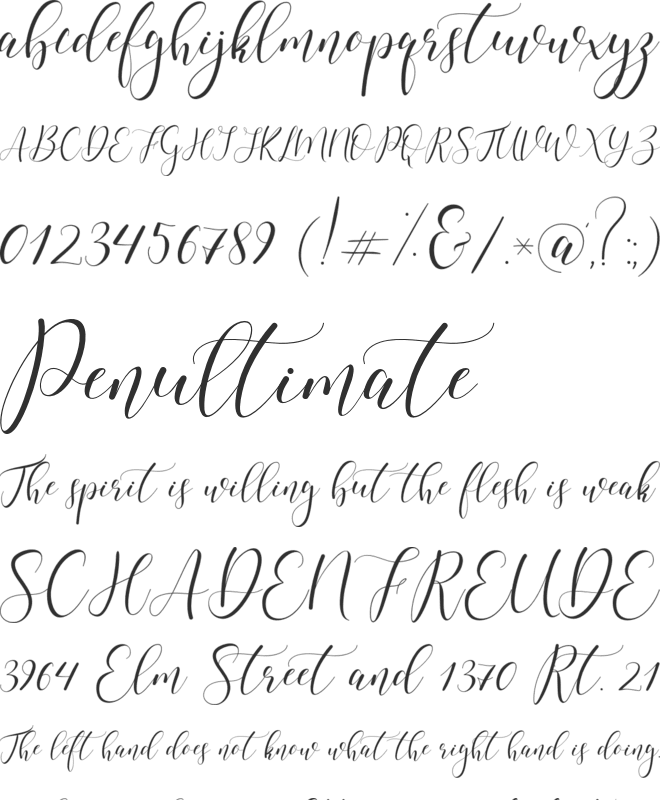 Amelis font preview