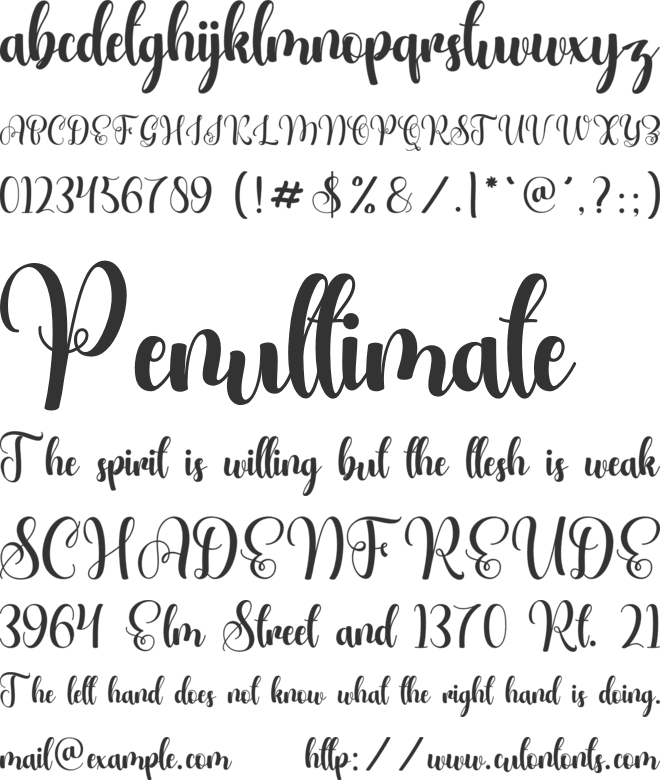 Love money font preview
