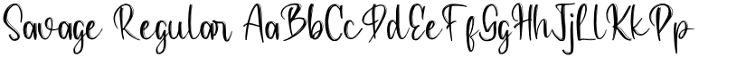 Savage Regular font