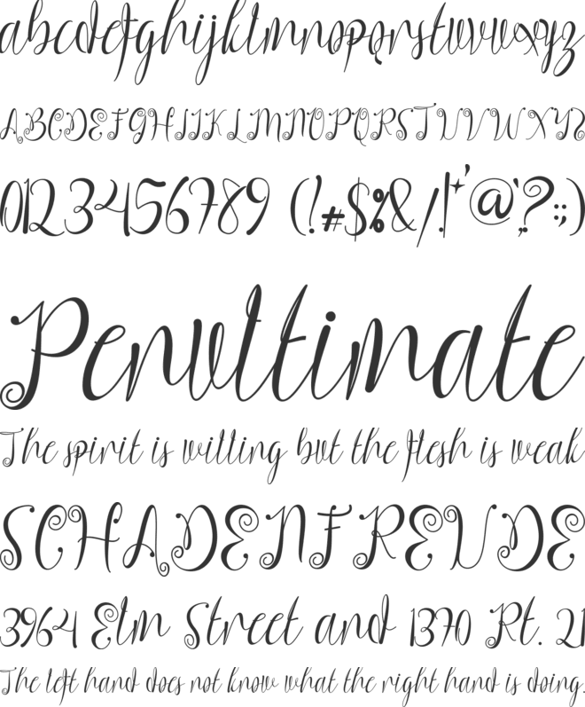 Charllona font preview