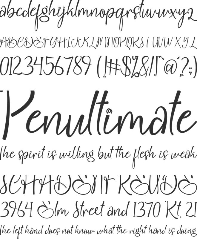 Christmas Delight font preview