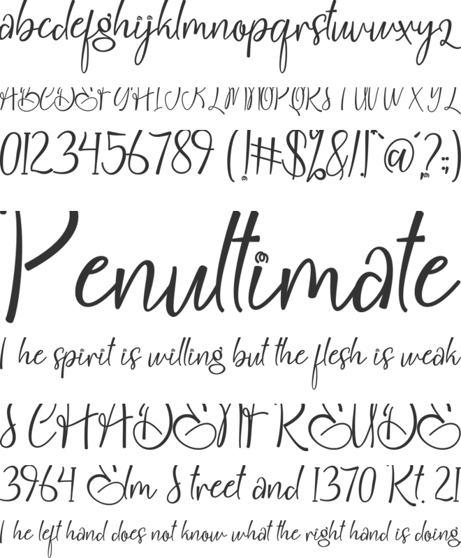 Christmas Delight font preview