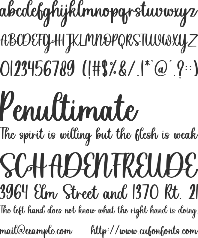 Sweet Holiday font preview