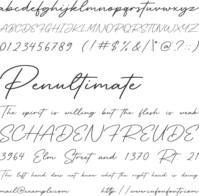 Retro Signature font preview
