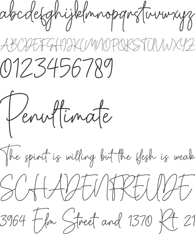 Cassual Signature font preview