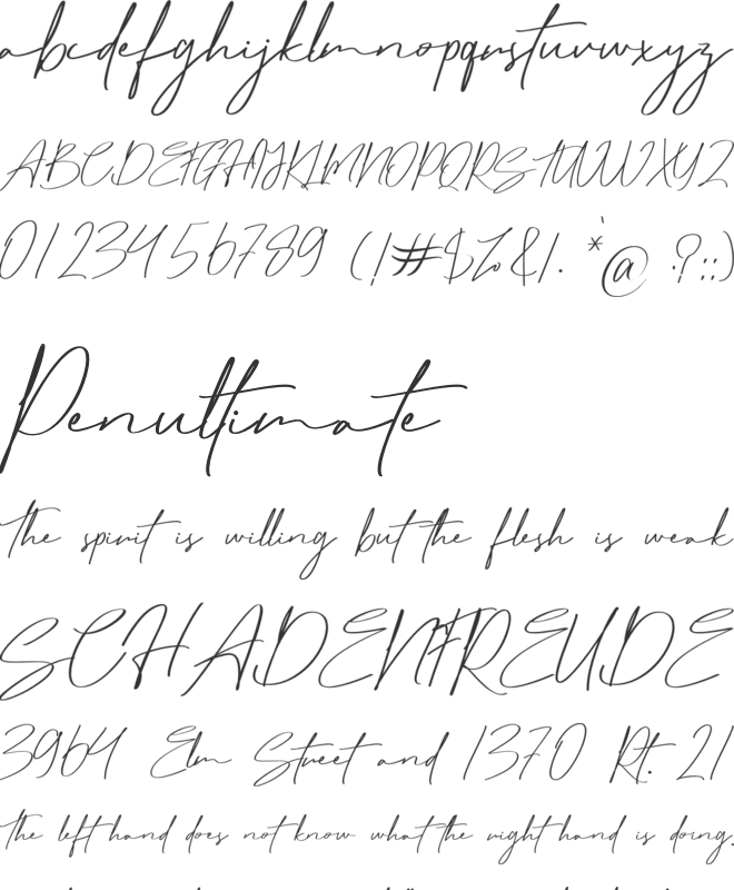 Matt Rostine font preview