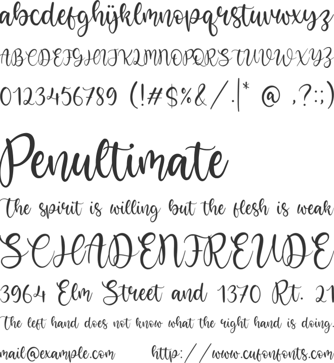 Bright Violet font preview