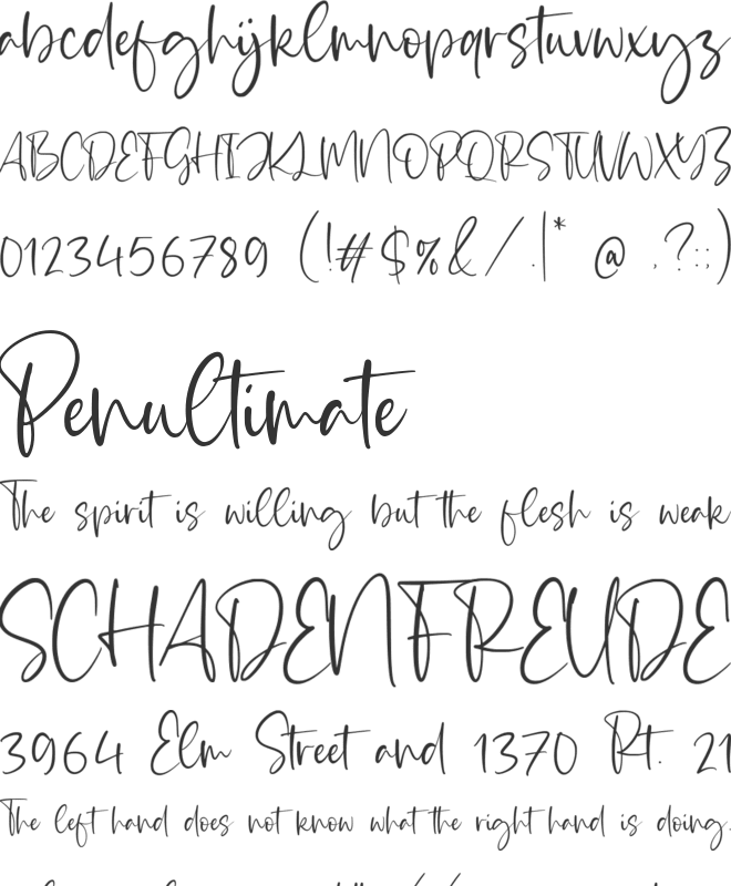 Medium Rosebud font preview