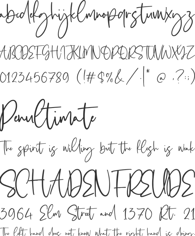 Obladi Script font preview