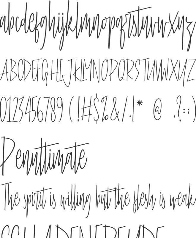 Stay Cool font preview