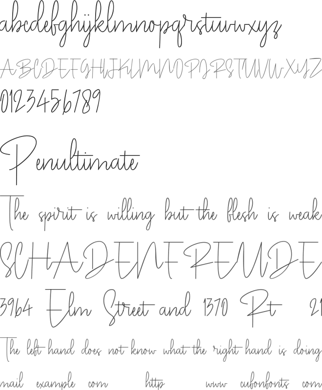 Pentel Signature font preview