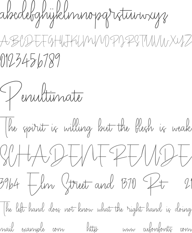 Pentel Signature font preview