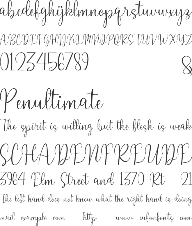 Winda font preview