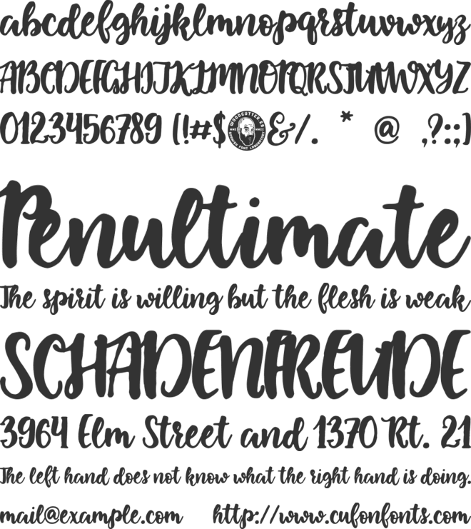 Carmen Polo Superstar font preview