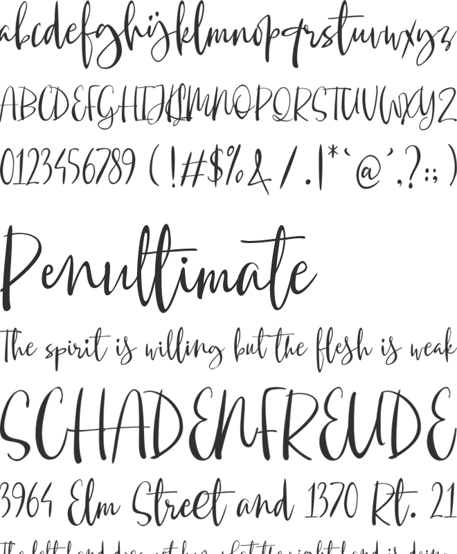 Mauritania Script font preview