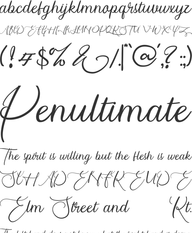 wandita font preview