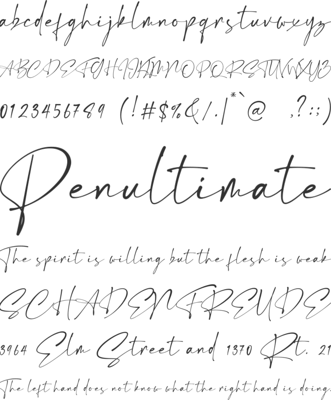 Estrada Signature font preview