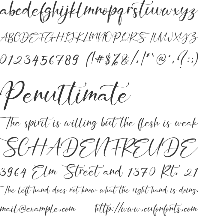 Nattalya font preview