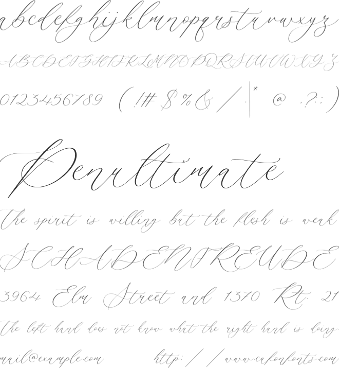 Camila Raindrop font preview