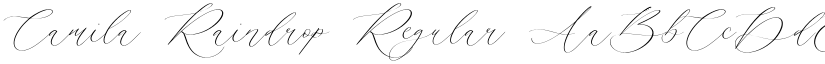 Camila Raindrop Regular font